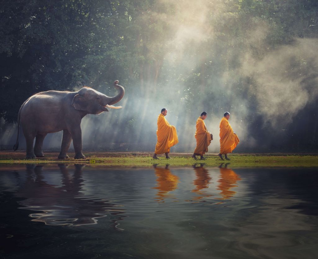 El elefante y los budistas