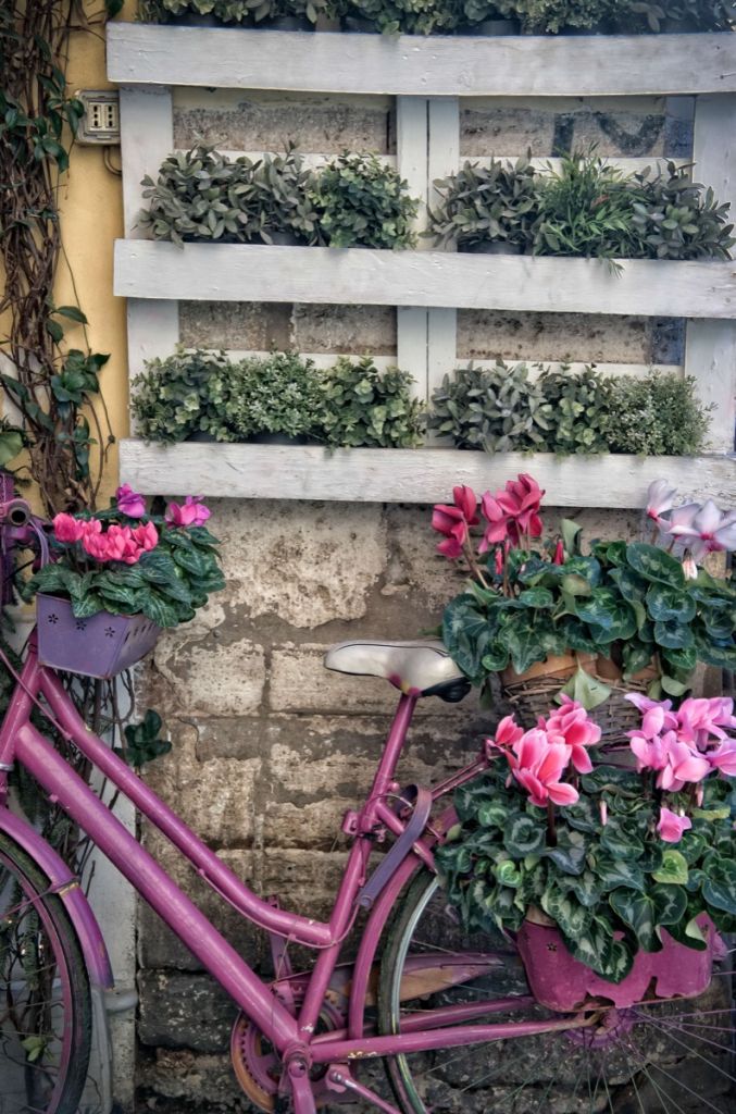 Bicicleta de época con flores