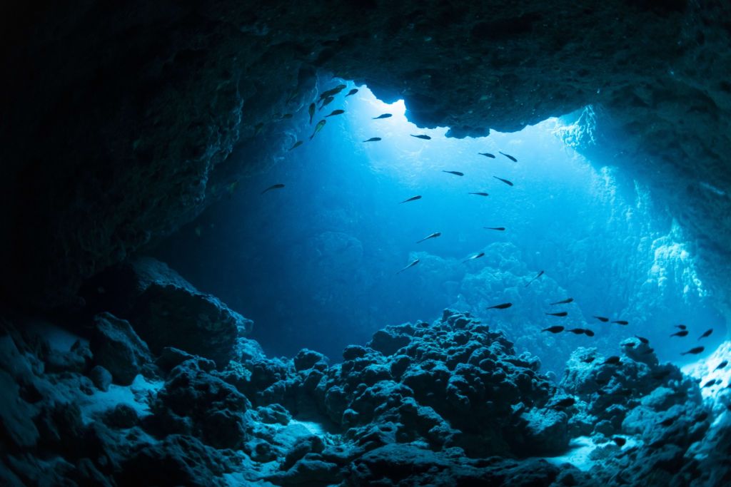 Cueva submarina con peces