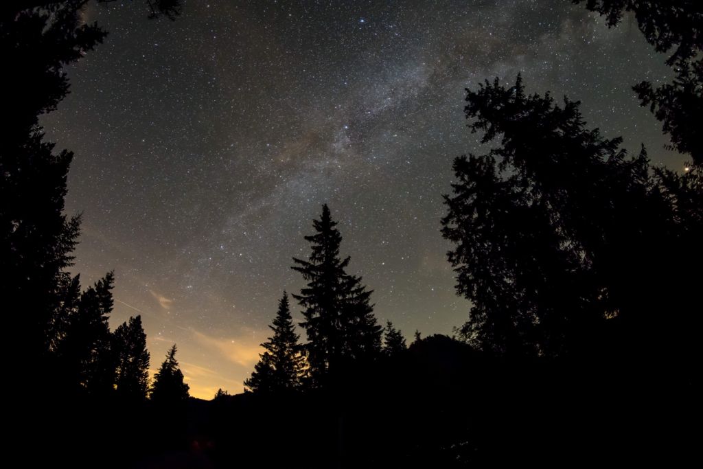 Cielo estrellado en la noche