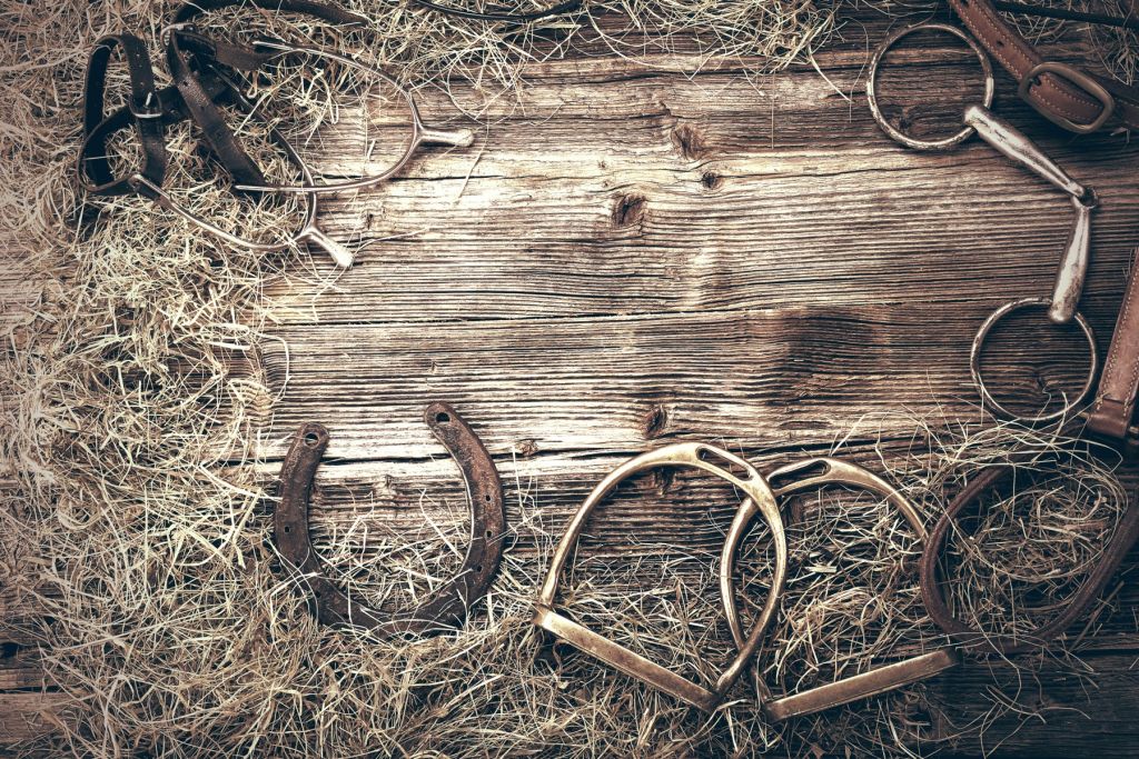 Equipamiento para caballos