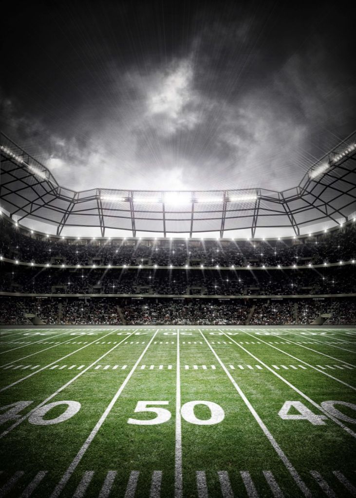 Retrato del estadio