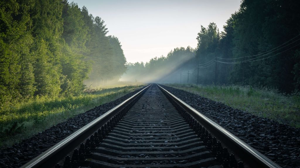 Las vías del tren a través del bosque