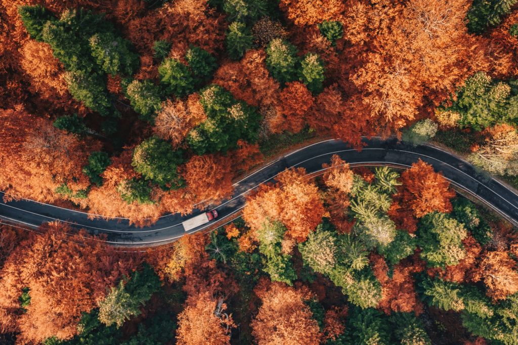 Carretera sinuosa con camión