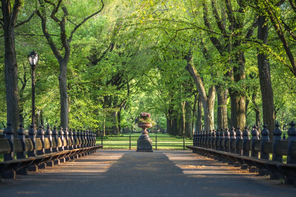 Sendero en Central Park