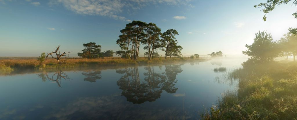 Reflejo en el páramo