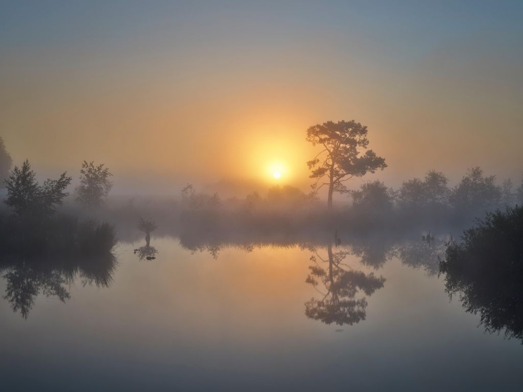 Amanecer con niebla