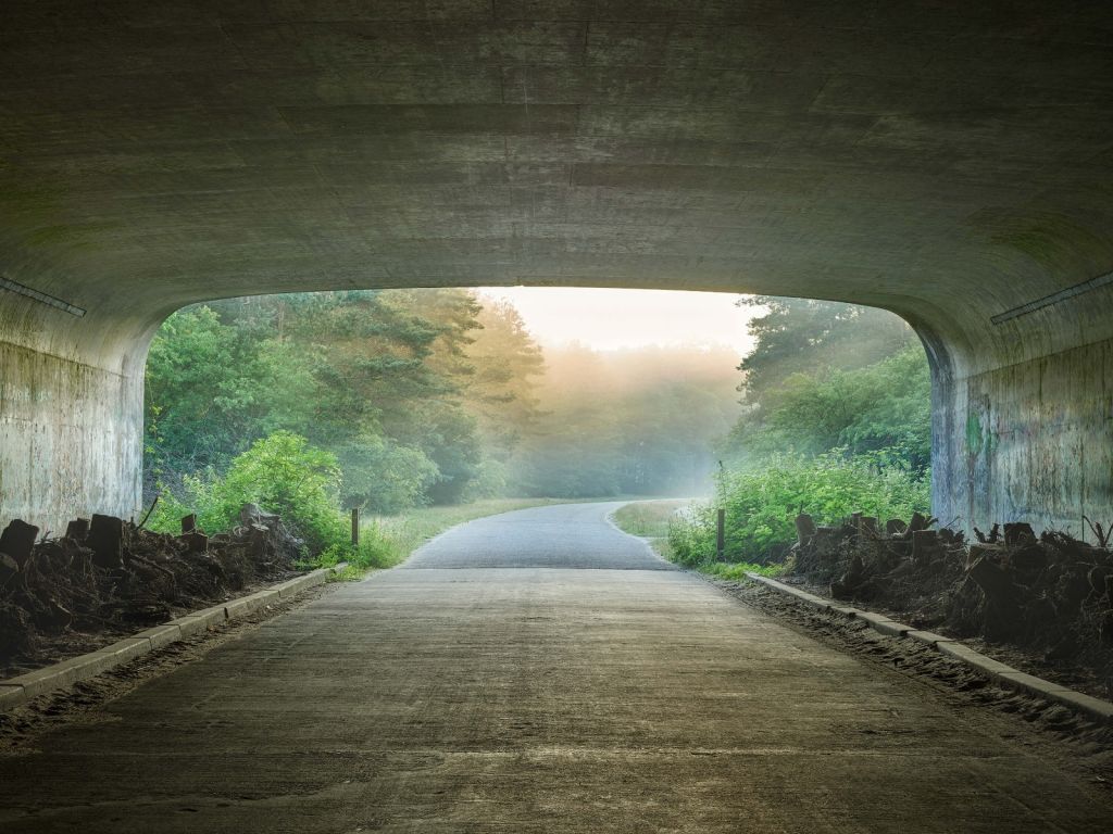 El sol al final del túnel