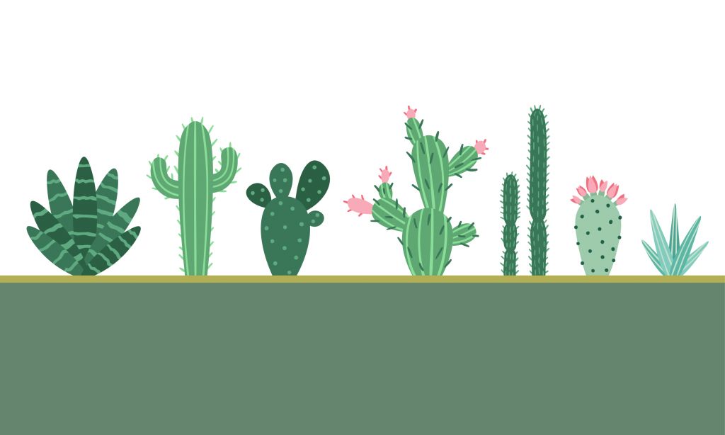 Cuadros verdes con cactus
