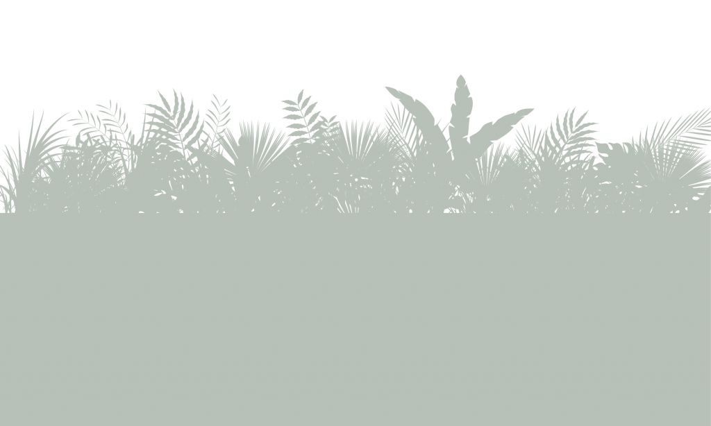 Siluetas de hojas de palmera, verde claro