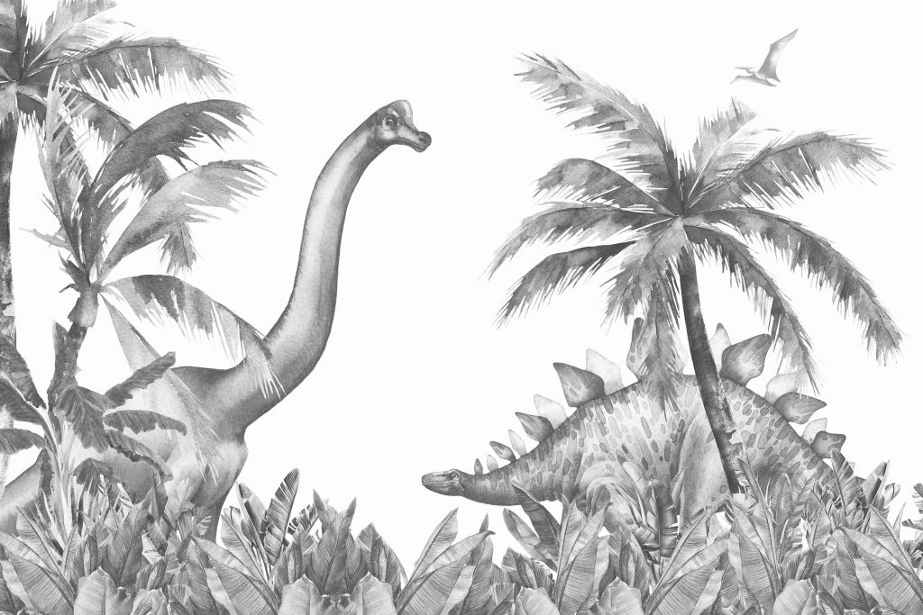 Dinosaurios en blanco y negro