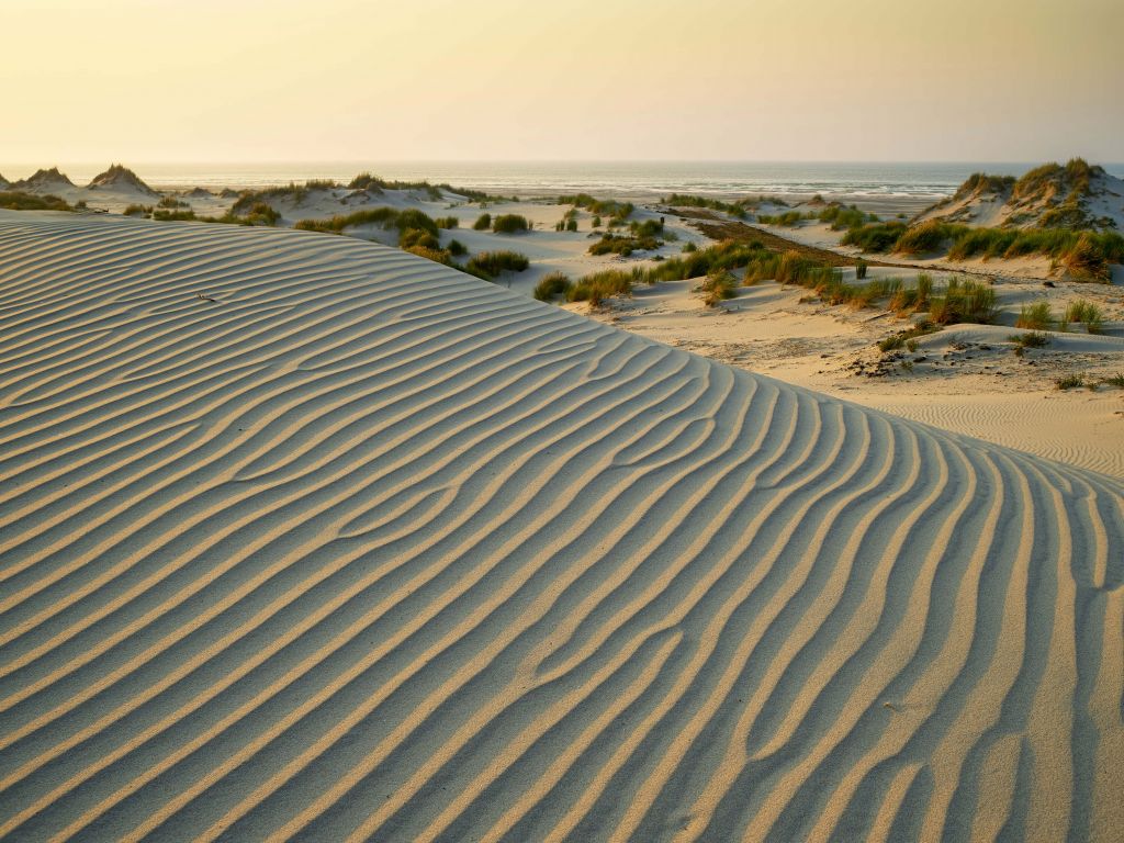 Dunas al atardecer