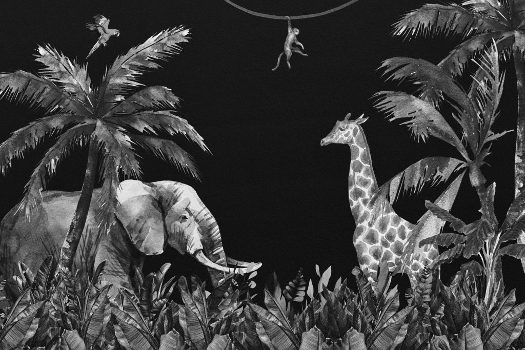 Animales de la selva en blanco y negro