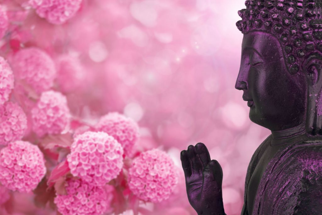 Flores de Buda
