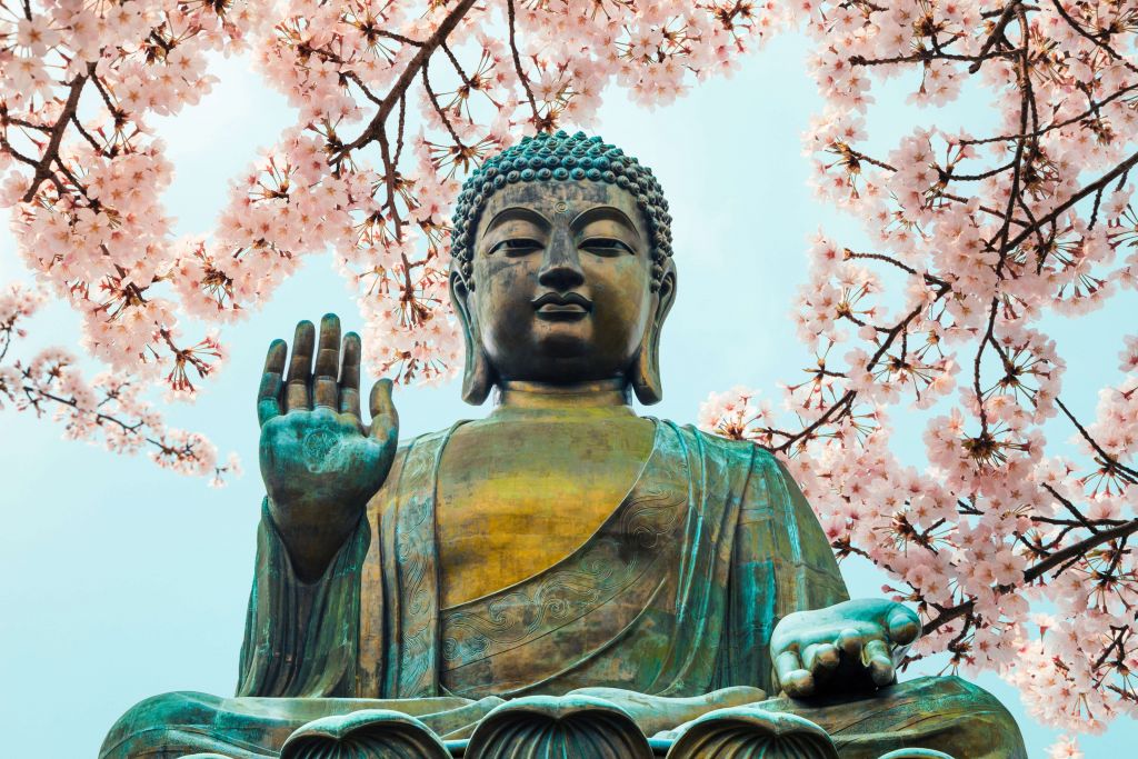 Buda rodeado de flores de cerezo