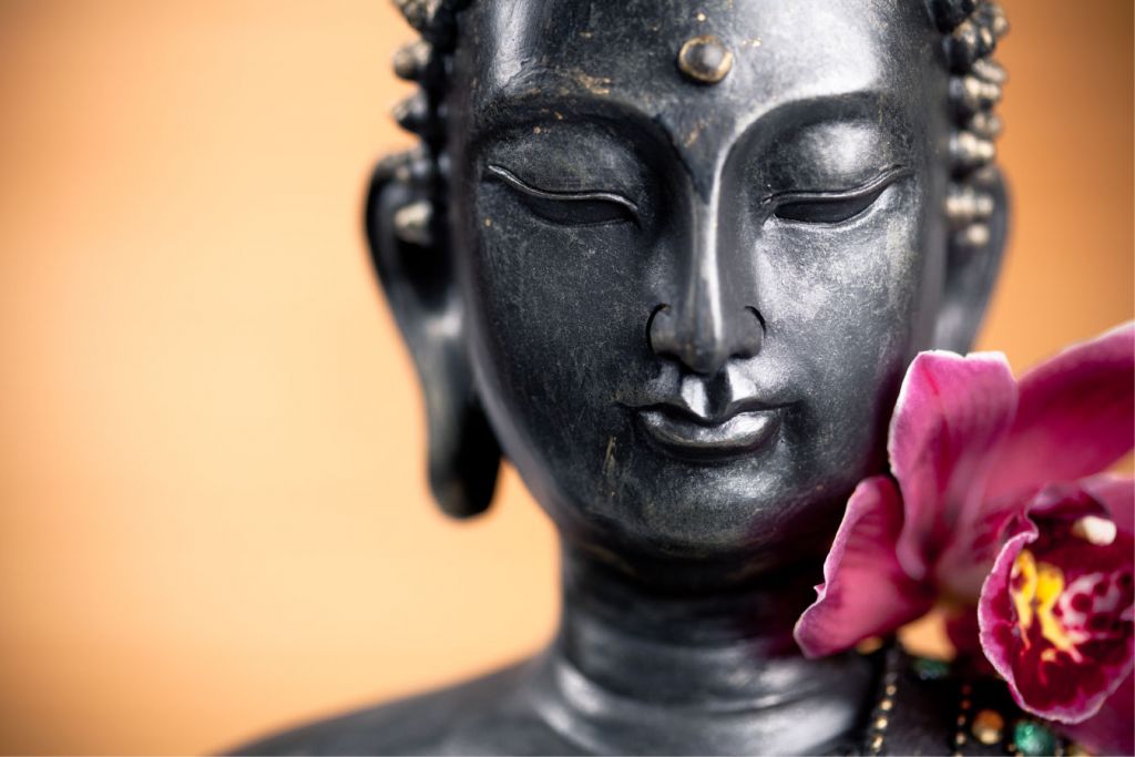 Buda y orquídea rosa