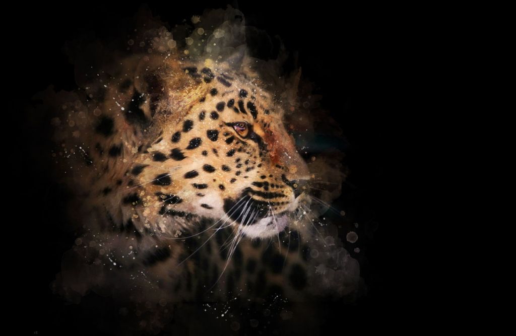Leopardo pintado