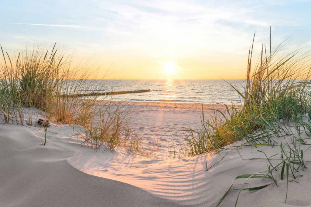 Playa de dunas con puesta de sol