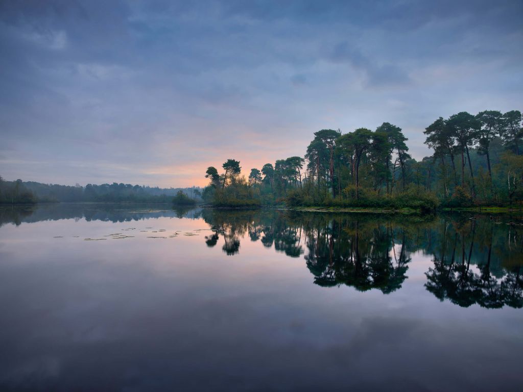 Reflejo en el bosque al amanecer