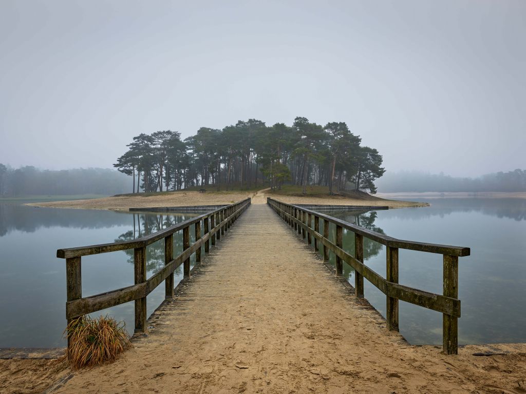 Isla en la niebla