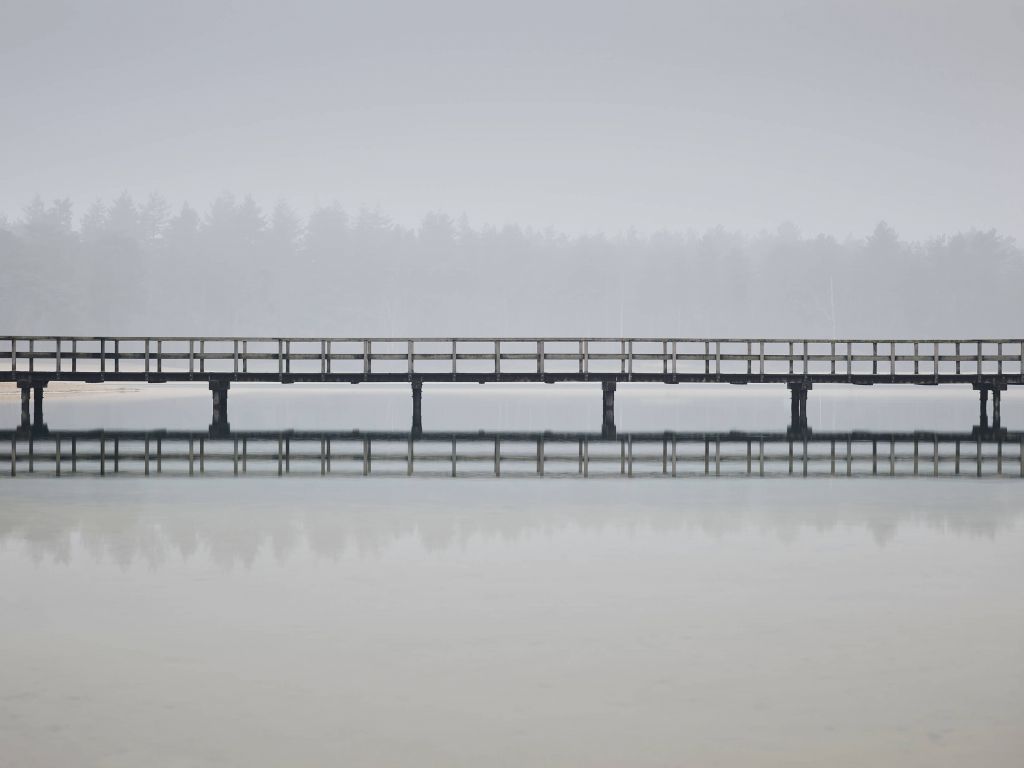 Puente en la niebla