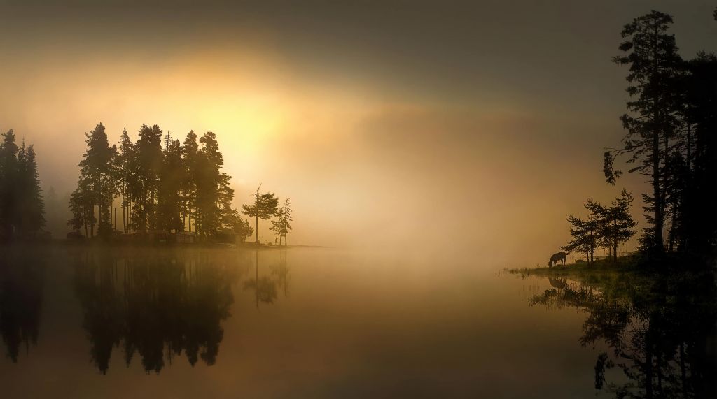 Isla en la niebla