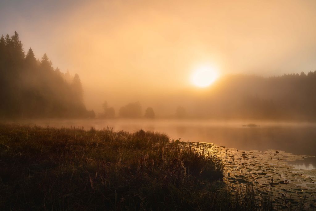 La increíble luz de una mañana de octubre