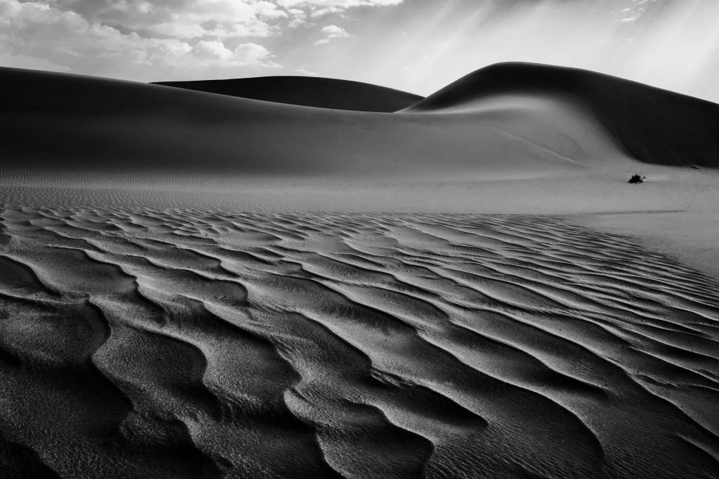Las dunas vivas, Namibia I