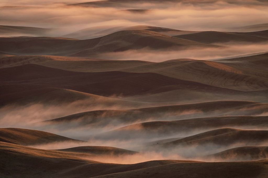 Mañana de primavera en Palouse