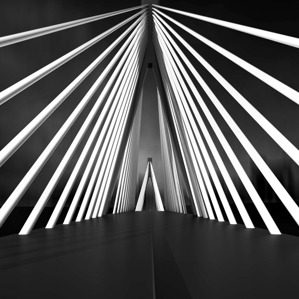 Puente de cuerdas grande
