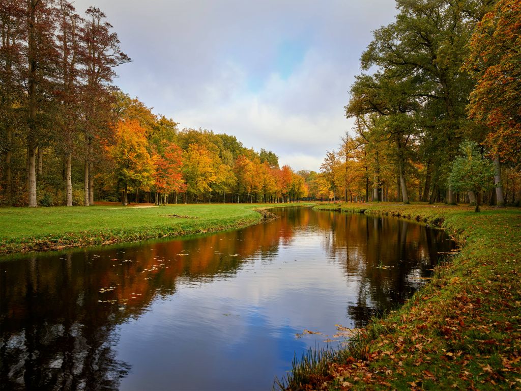 Bosque en otoño