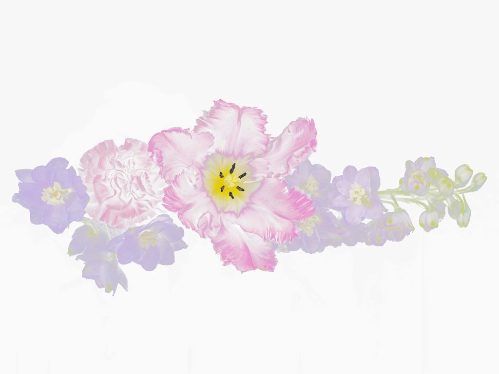 Ramo de flores