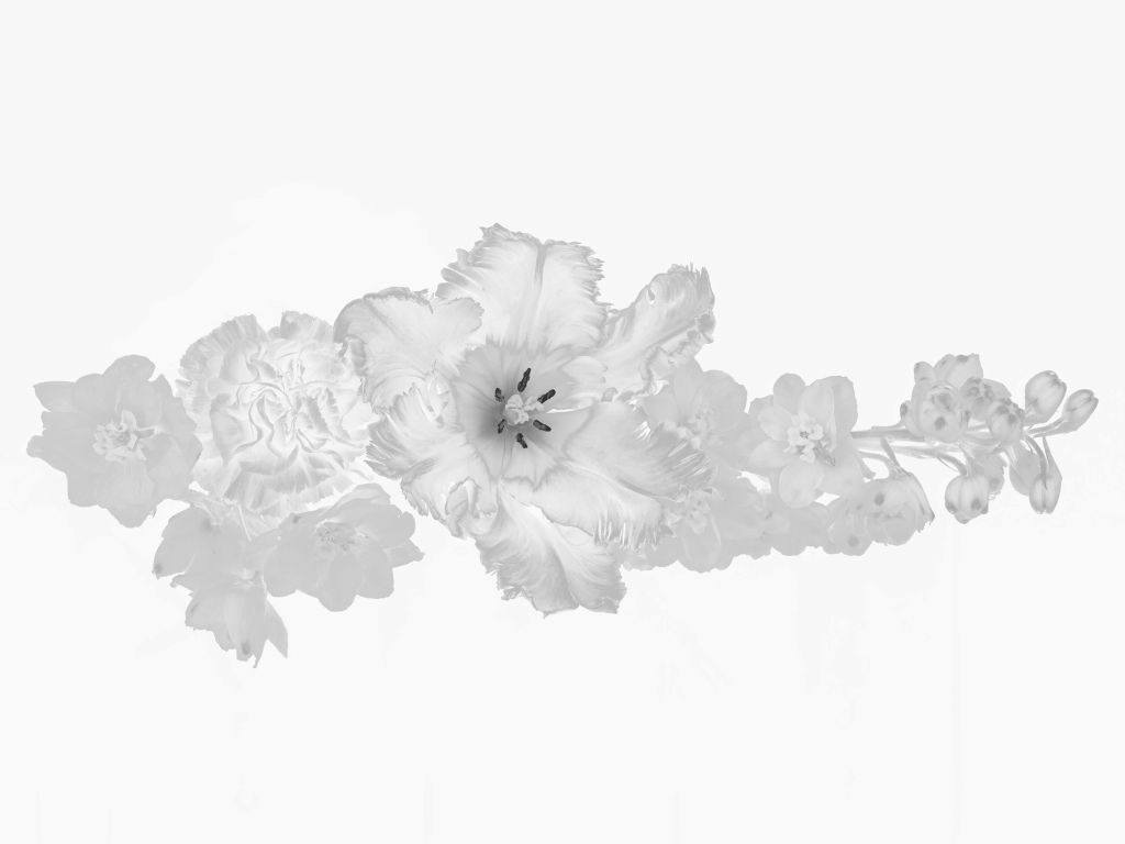 Ramo de flores en blanco y negro