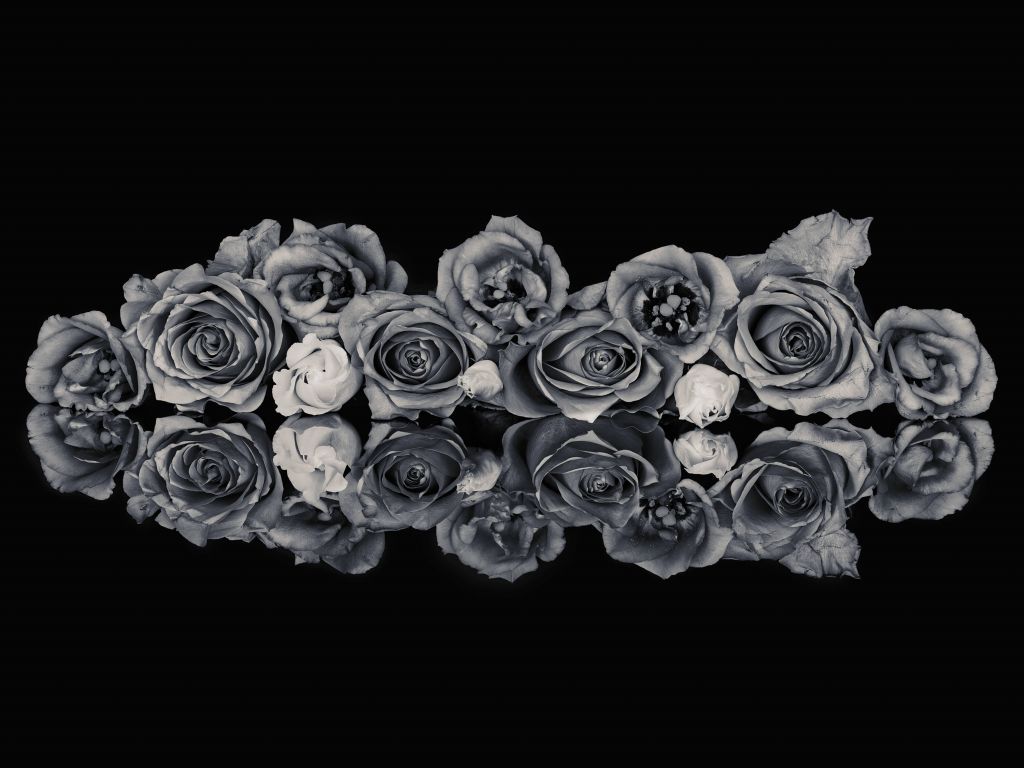Ramo de rosas en blanco y negro