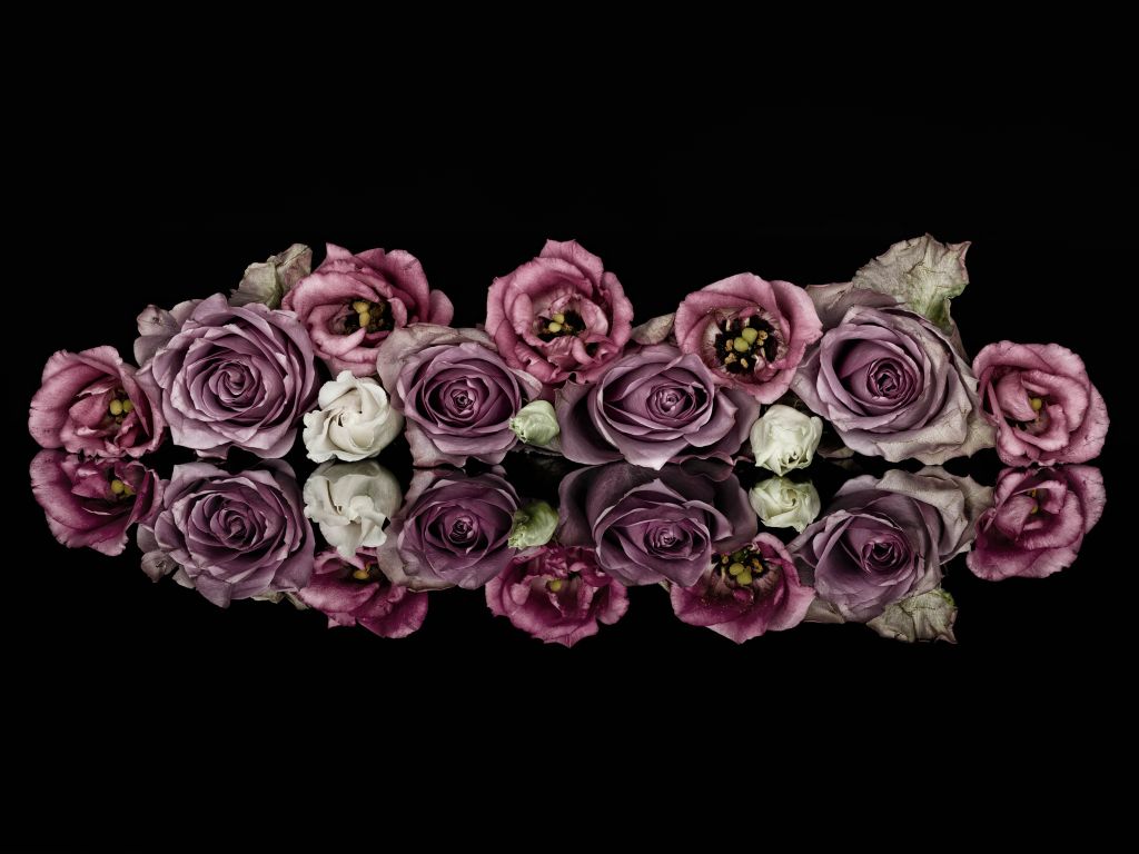 Ramo de rosas