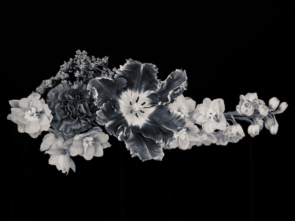 Ramo de flores blancas y negras