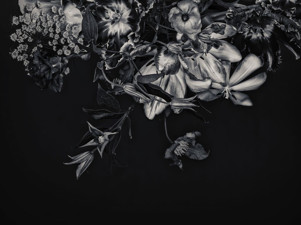 Flores pared tono azul