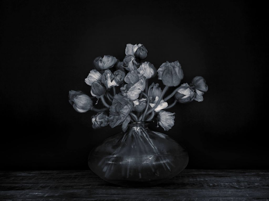 Flores pintorescas en blanco y negro