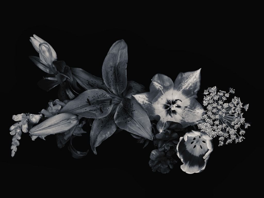 Flores compuestas en blanco y negro