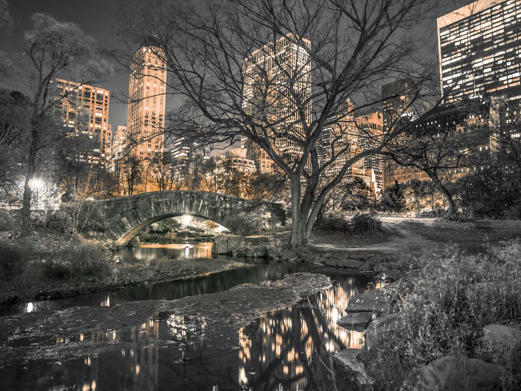 El parque central por la noche