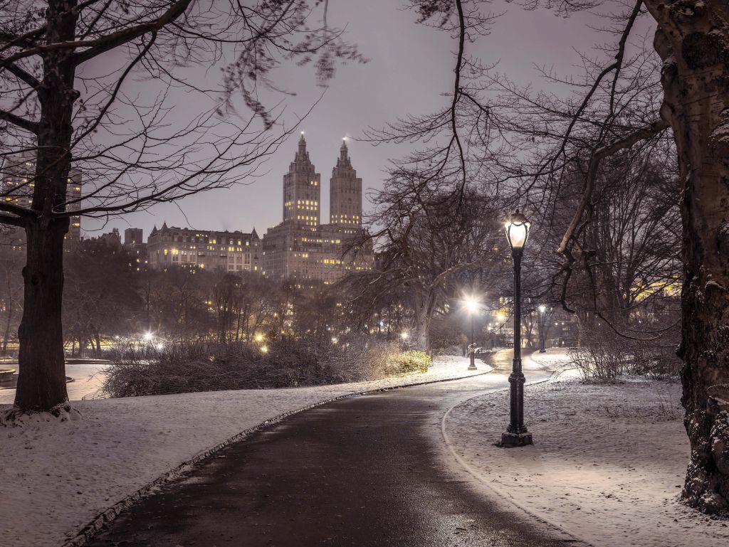 Central Park nevado