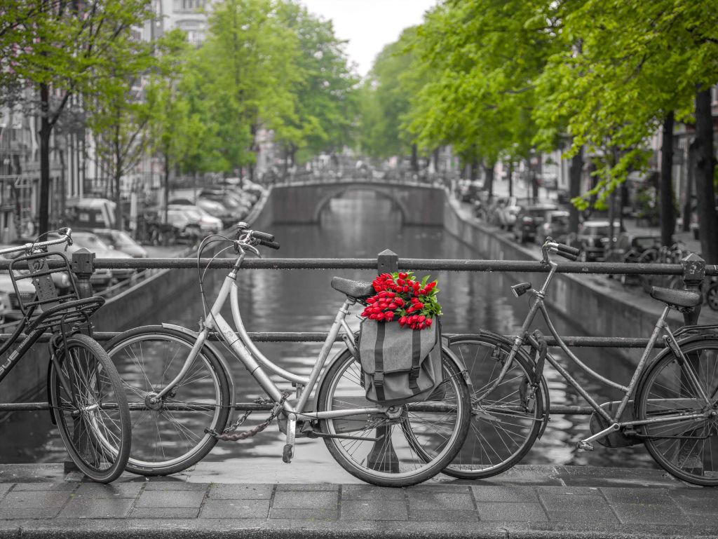 Bicicleta con flores