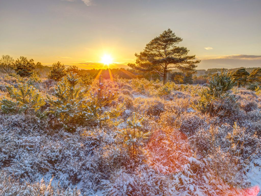 Atardecer de invierno