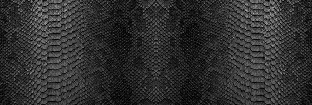 Piel de serpiente