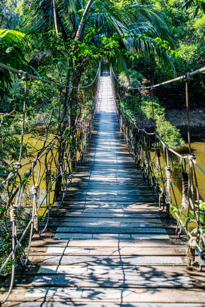 Puente colgante