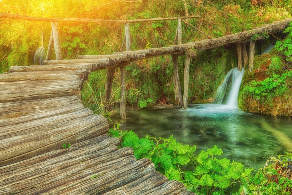 Puente de madera con luz solar