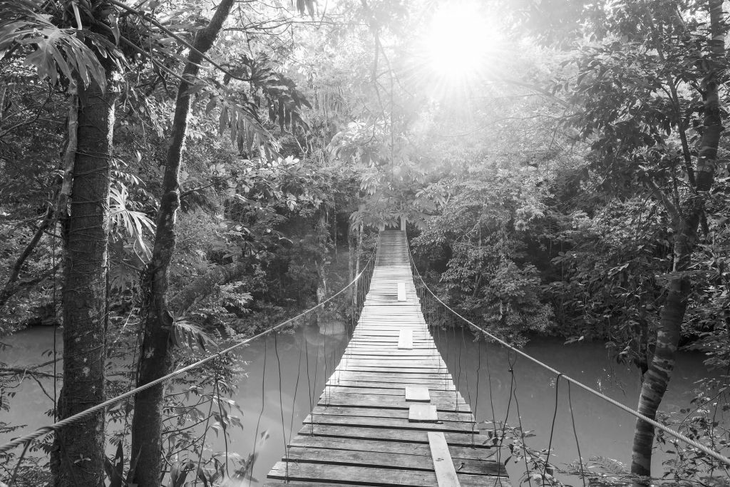 Puente colgante en blanco y negro