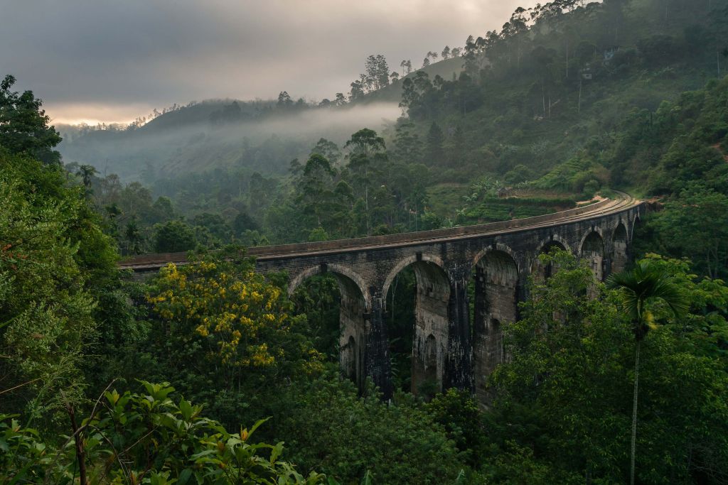 Puente ferroviario a través de la selva
