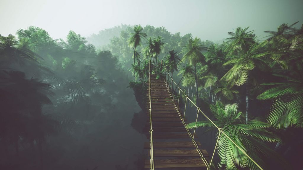 Puente de cuerda en la niebla