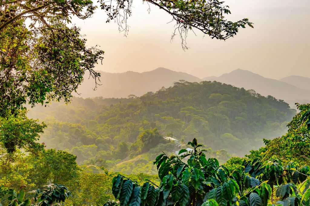 Paisaje montañoso tropical